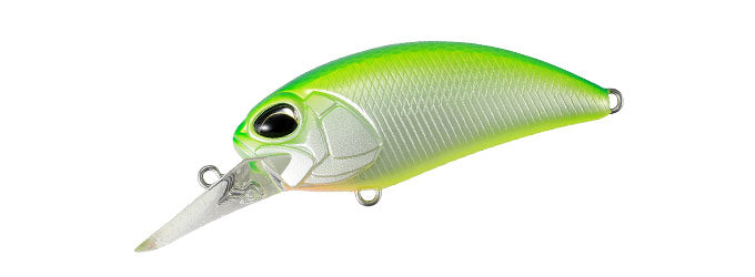 Citrus Shad