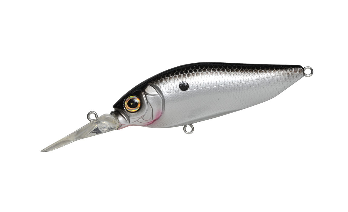 Ozark Shad