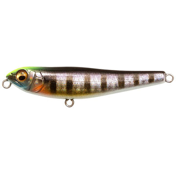 Leurre Megabass Dog X JR SW 71 Mm - 6,5g - Flottant - Coloris Do Chart - NEUF