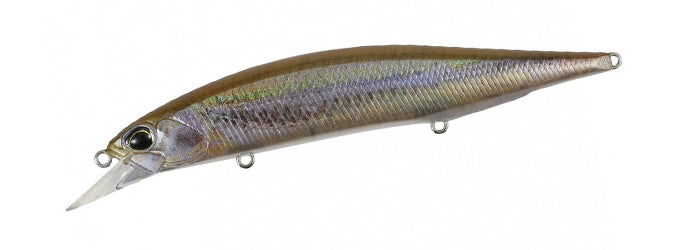 Emerald Shiner ND