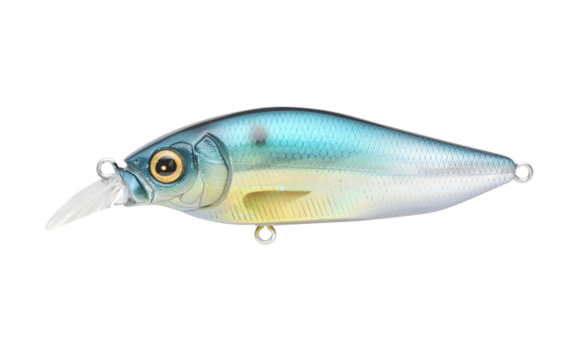 GG Threadfin Shad