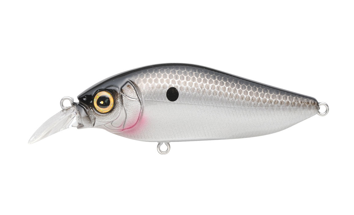 Ozark Shad