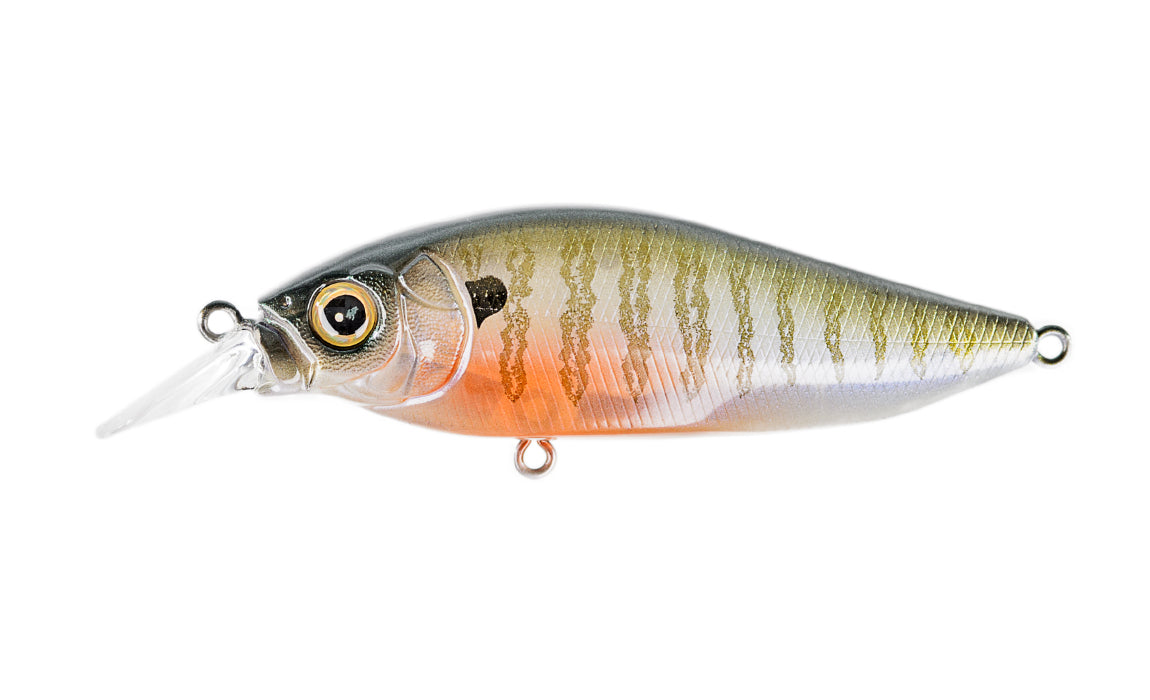 Secret Gill