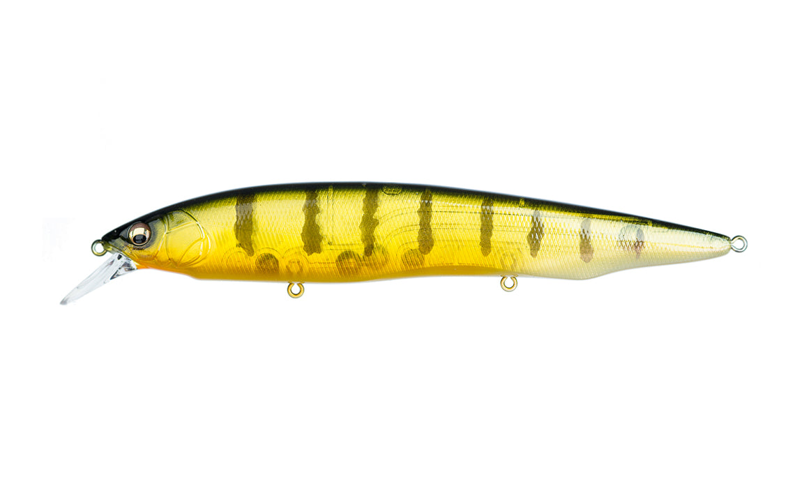 GP Pro Perch