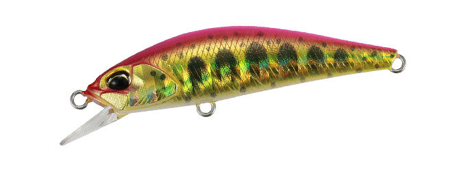 Perch Gold Yamame - AHA4052