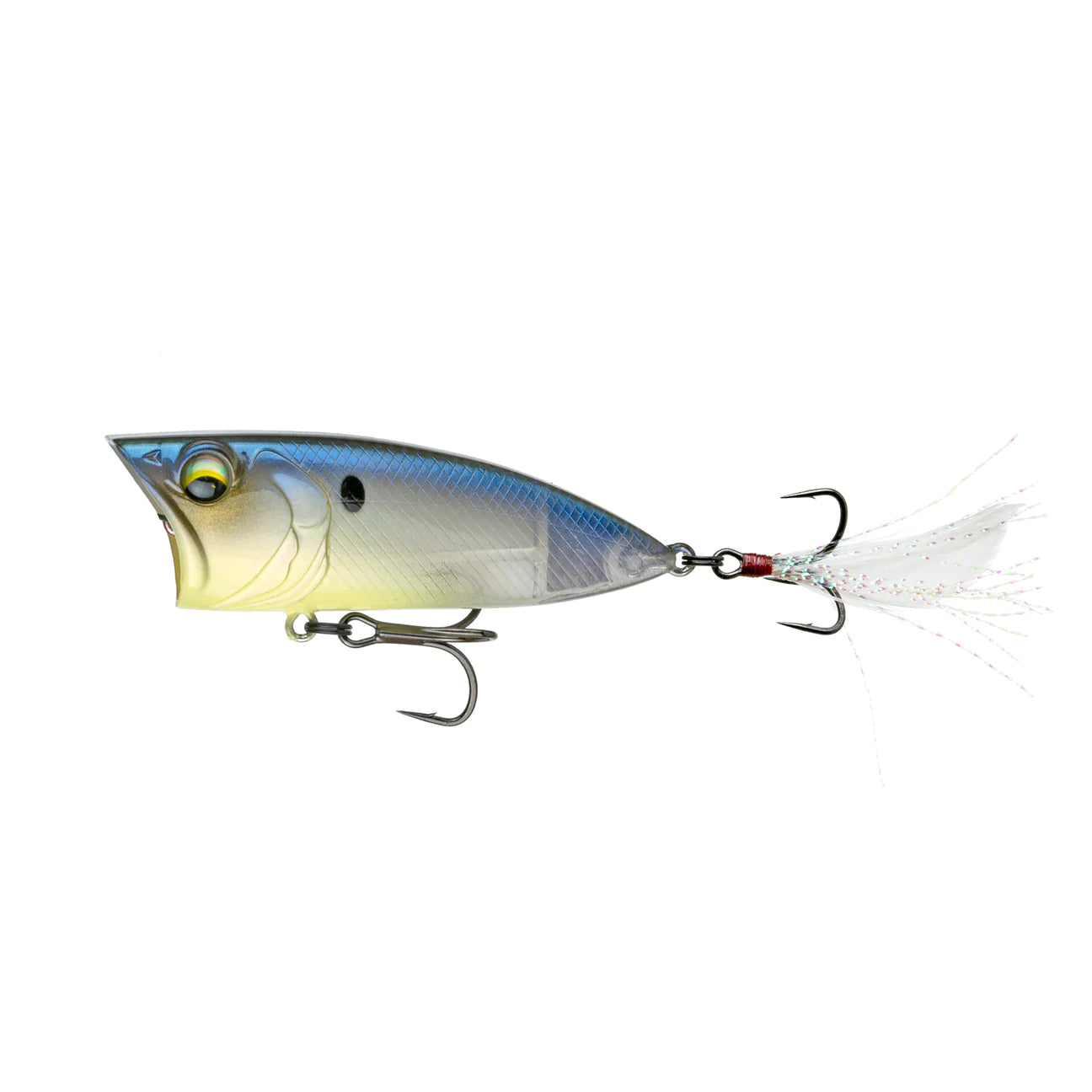 Ghost Bone Minnow