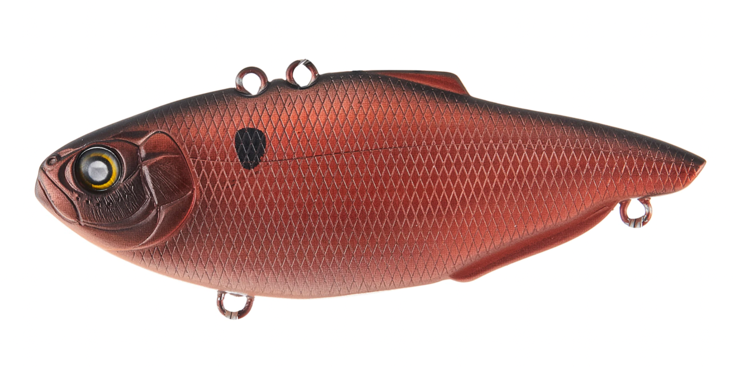 Copper Shad