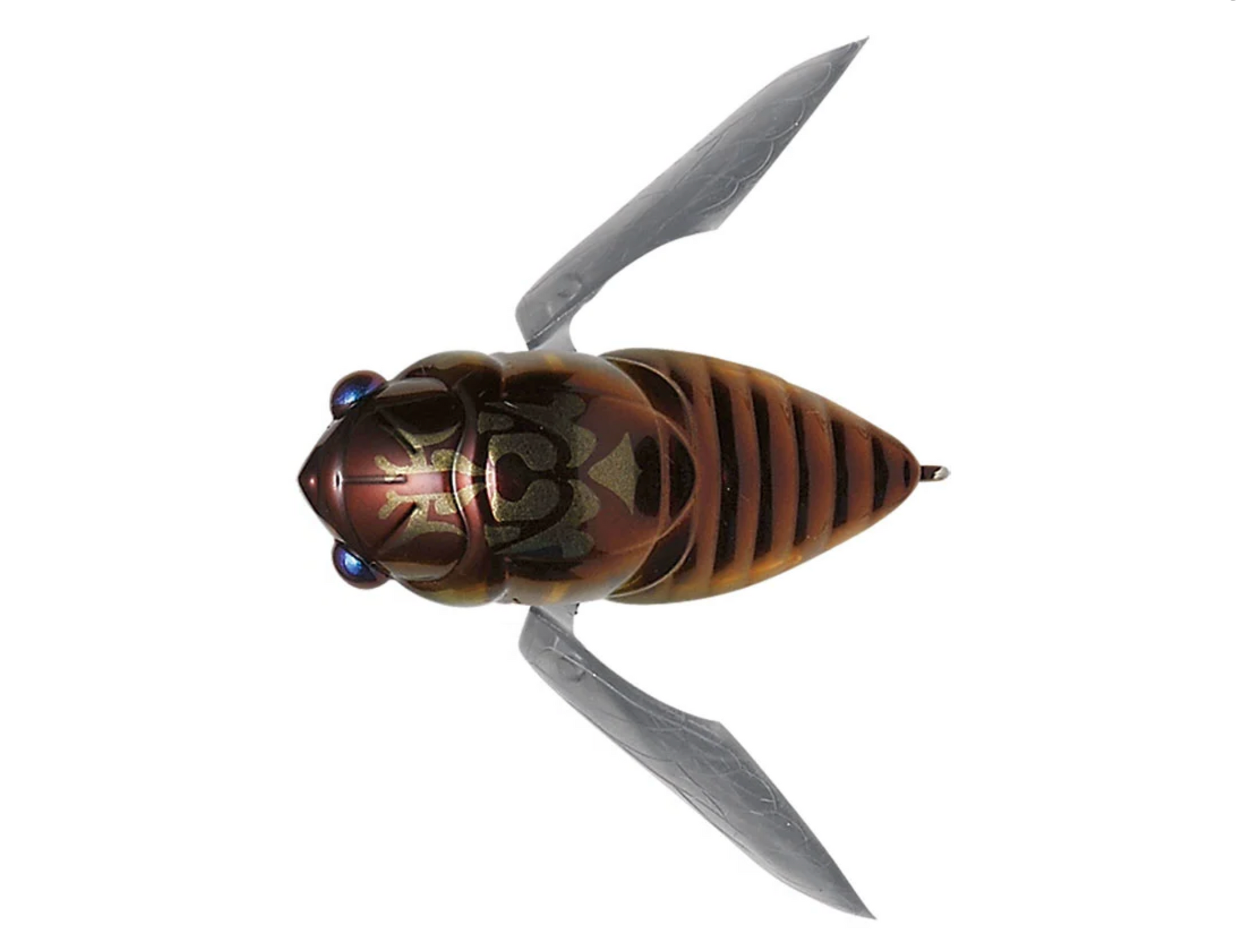 SIGLETT megabass cicada 5点 Megabass Grand Siglett