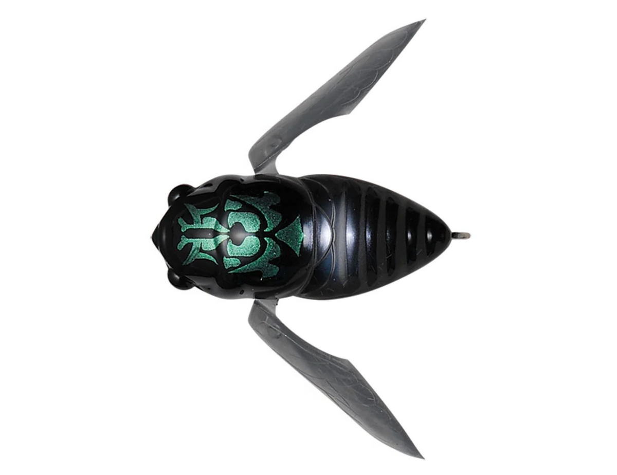 SIGLETT megabass cicada 5点 Megabass Grand Siglett