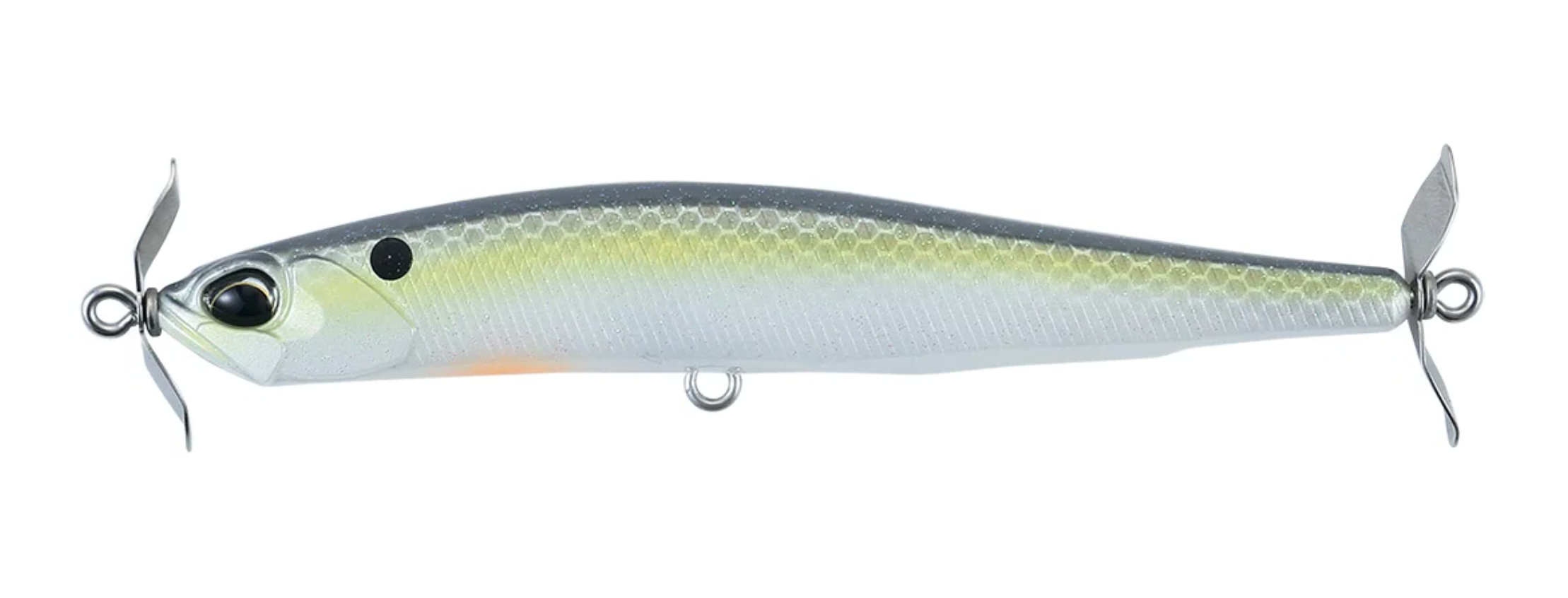 American Shad