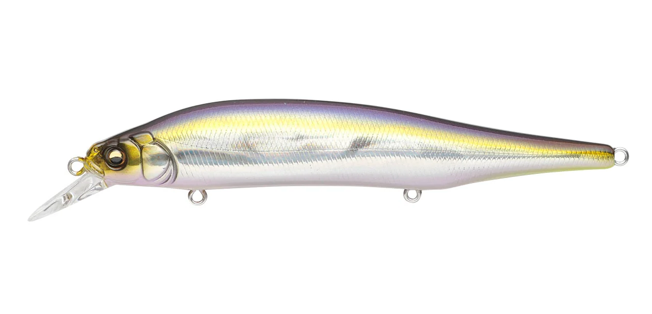 GG IL Tennessee Shad
