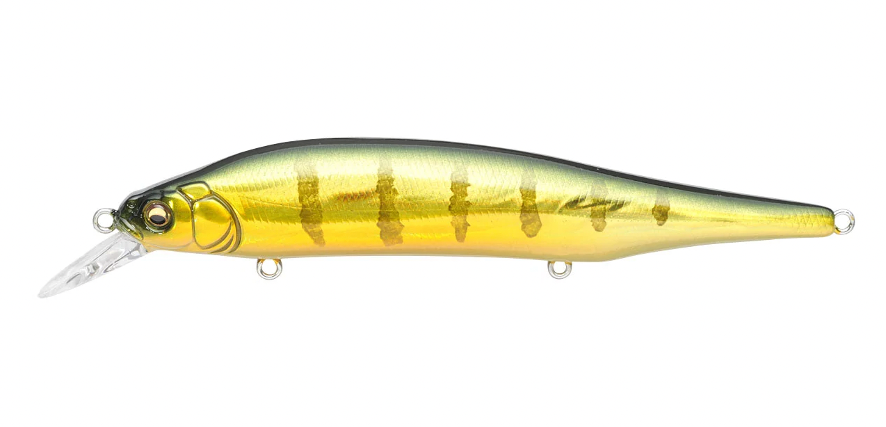 GG Perch