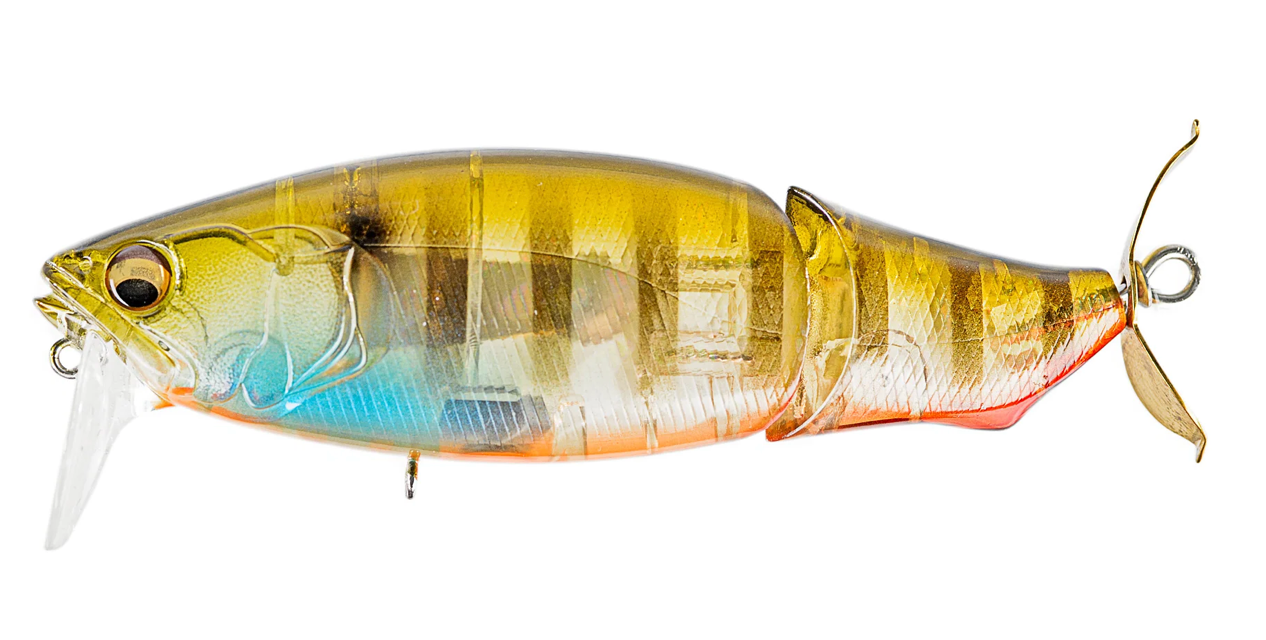 Biwako Clear Gill