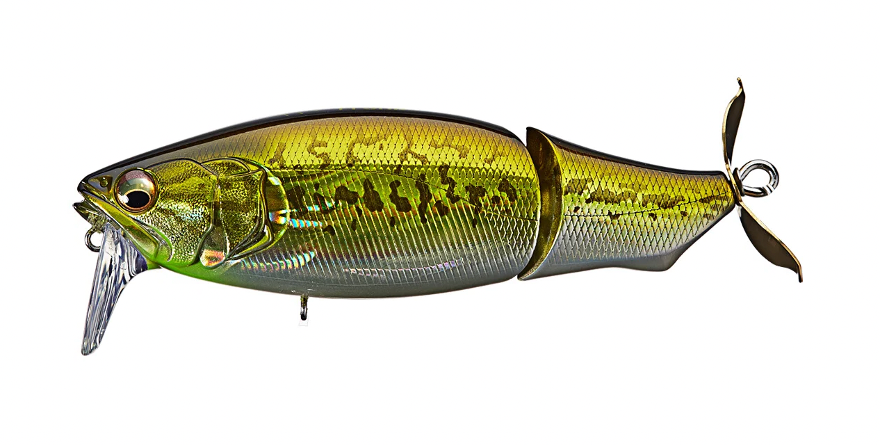 GG Bass
