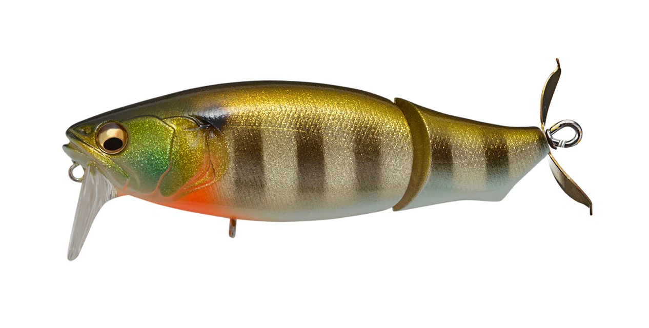 GLX Galaxy Gill