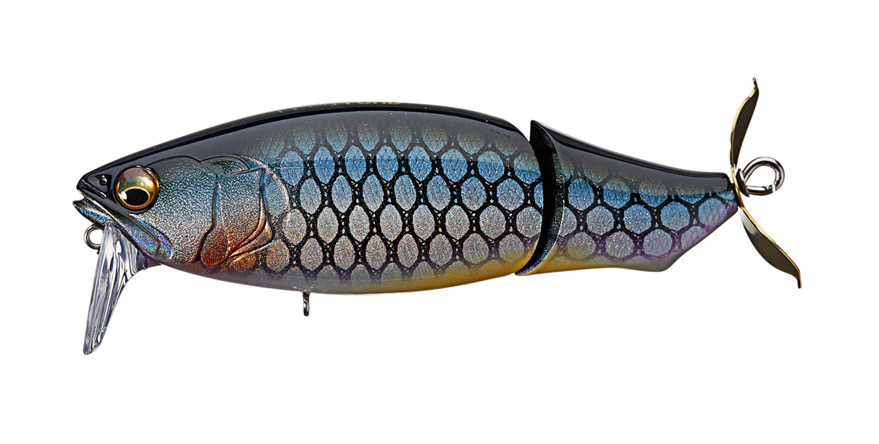 PM Mojiri