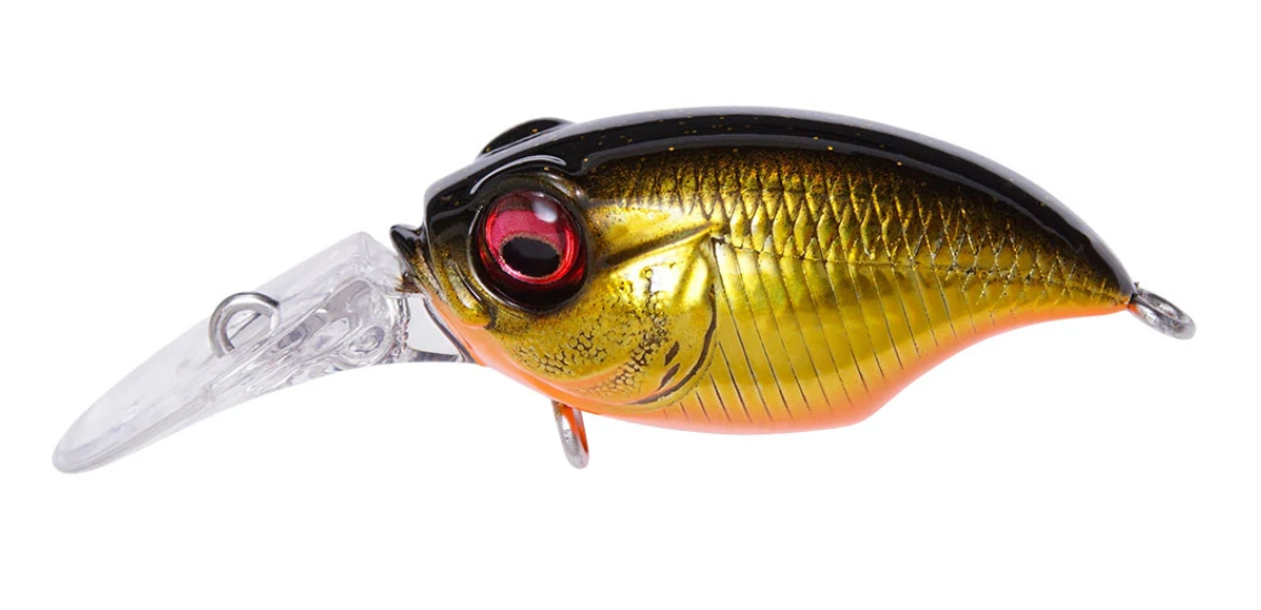 GG Megabass Kinkuro