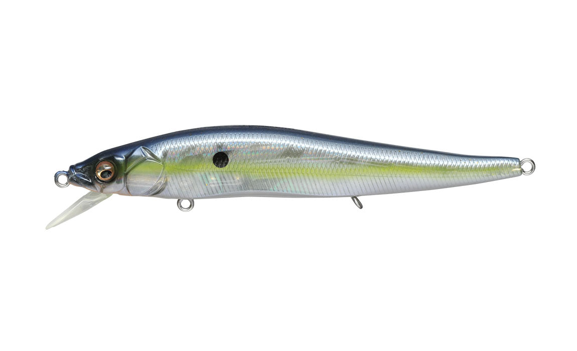 	GP Sexy Shad