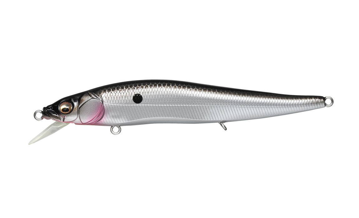 Ozark Shad