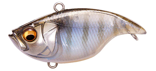 Gillkko DNA