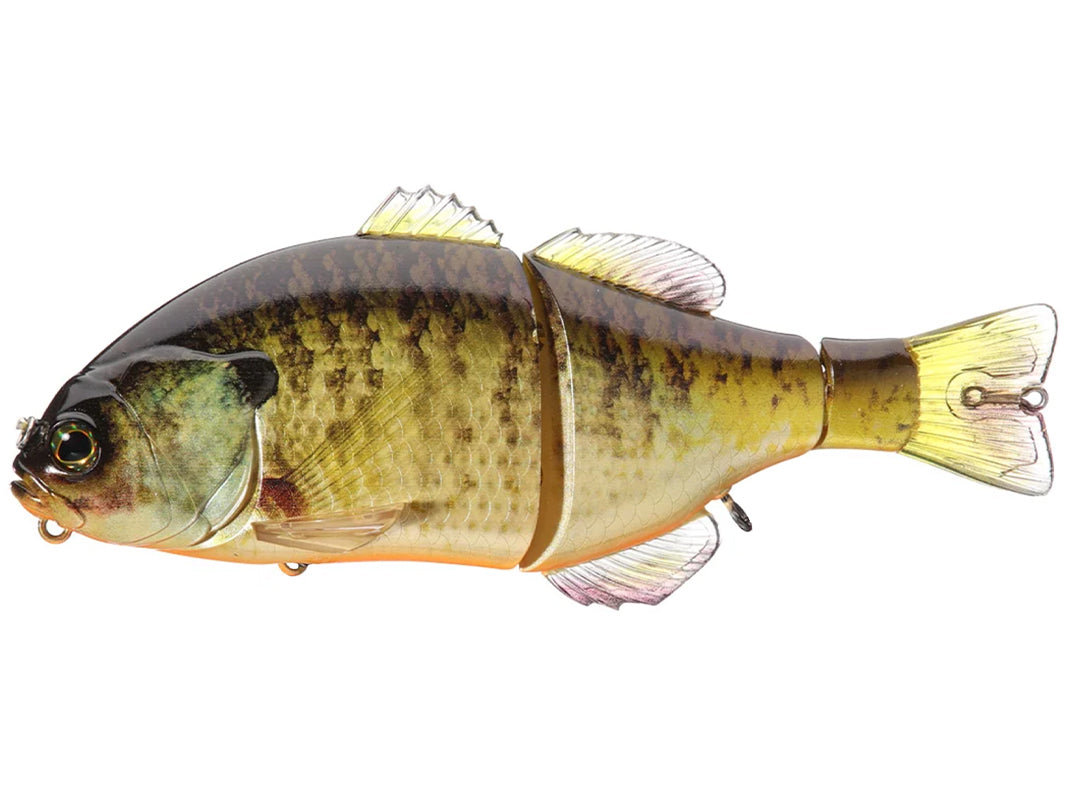 RT Bluegill