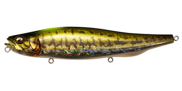 Megabass Megadog-X