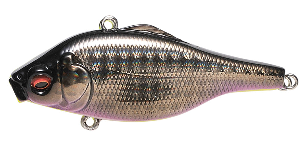 GG Deadly Black Shad