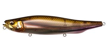 Megabass MEGADOG-X✩ SP-C Megabass Megadog X (SP-C)