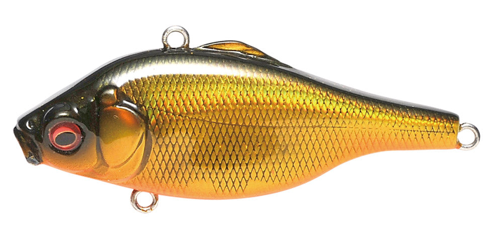 M Megabass Kinkuro