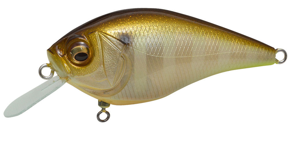 PM Sunshine Gill