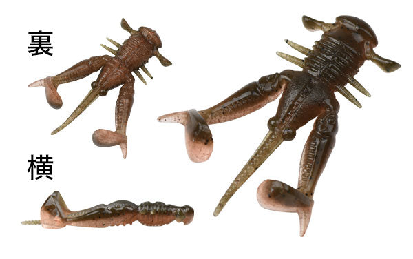 Orange Shrimp - #DC041
