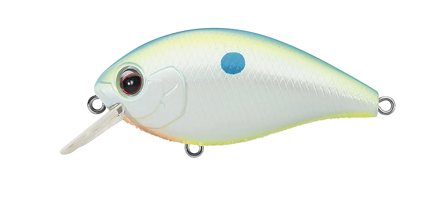 Champion Shad