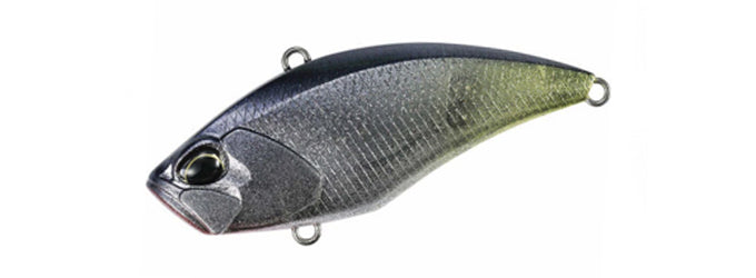 Glitter Shad