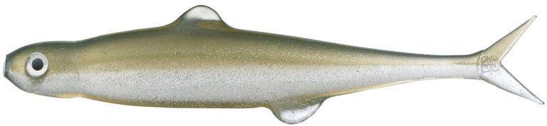 Juvenile Sweetfish - #142