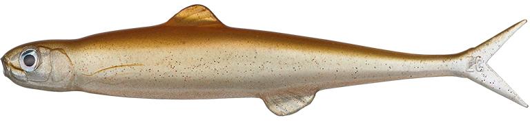 Neon Smelt - #138
