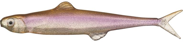 Smelt - #41