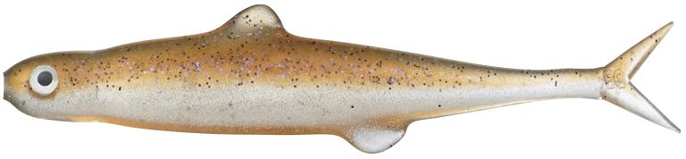 Sparkling Smelt - #92