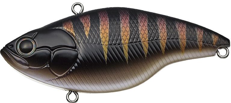 Black Neon Gill - #386