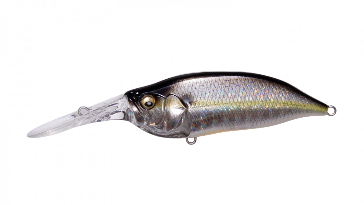 Sexy Oyabu Shad