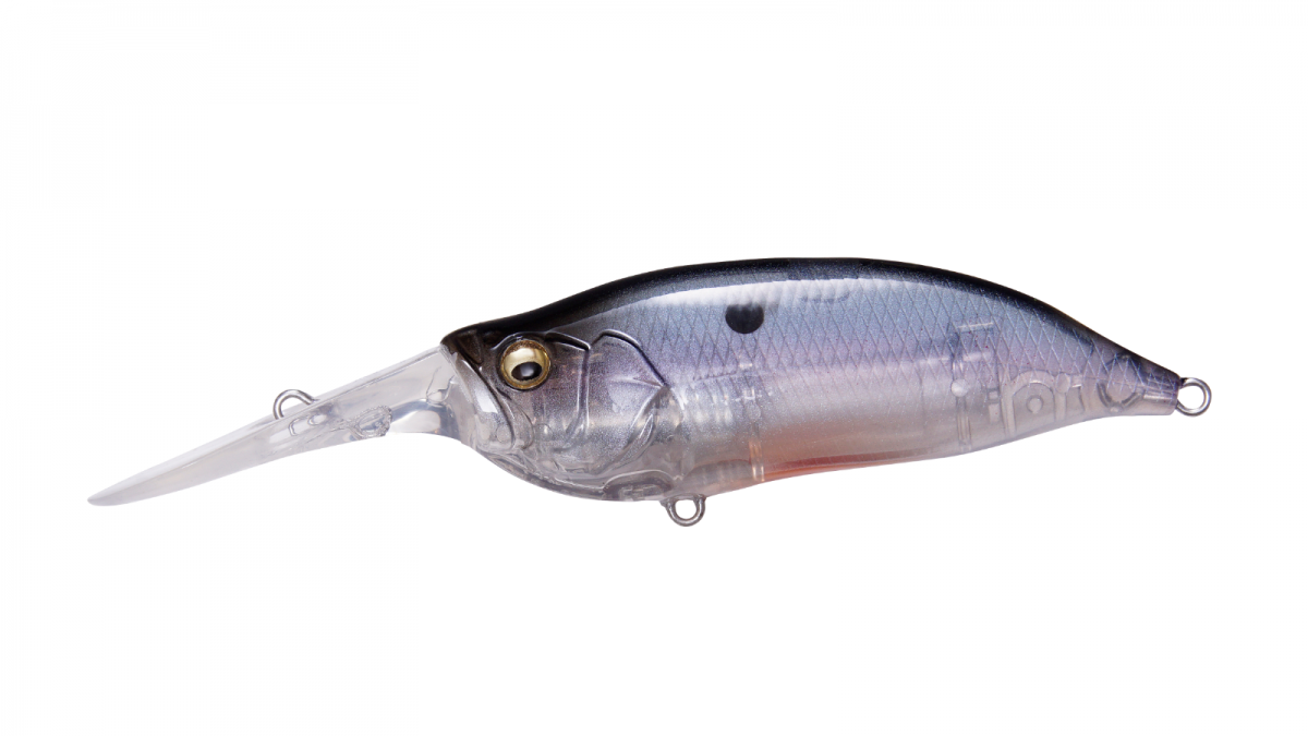 Ghost Shad