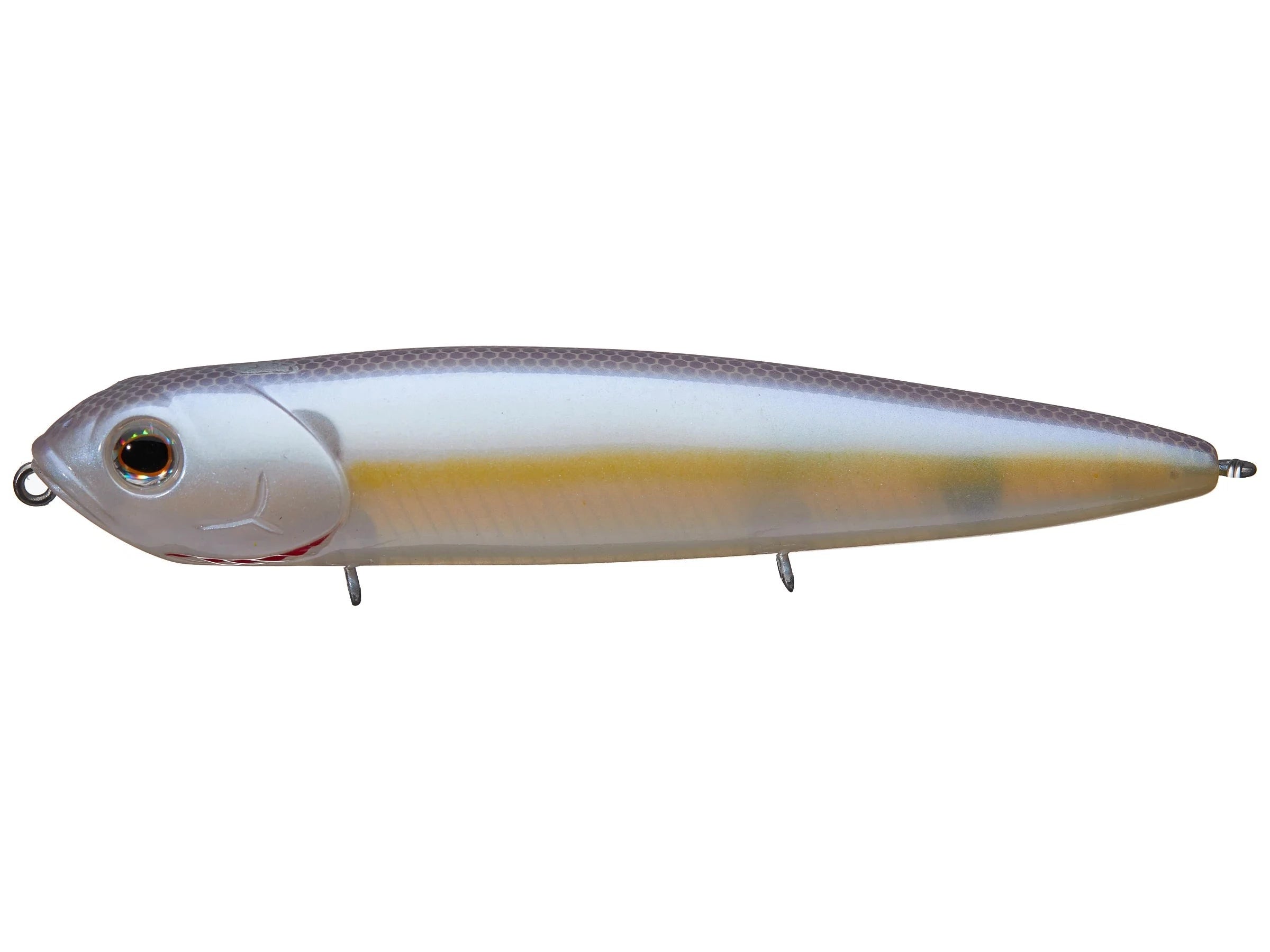 Chartreuse Shad