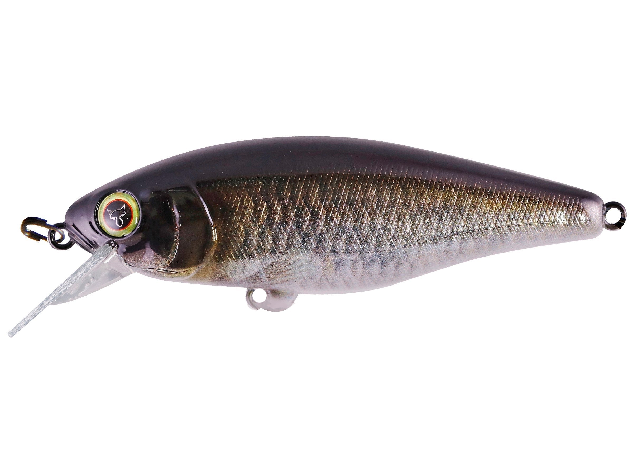 RT Scale Minnow