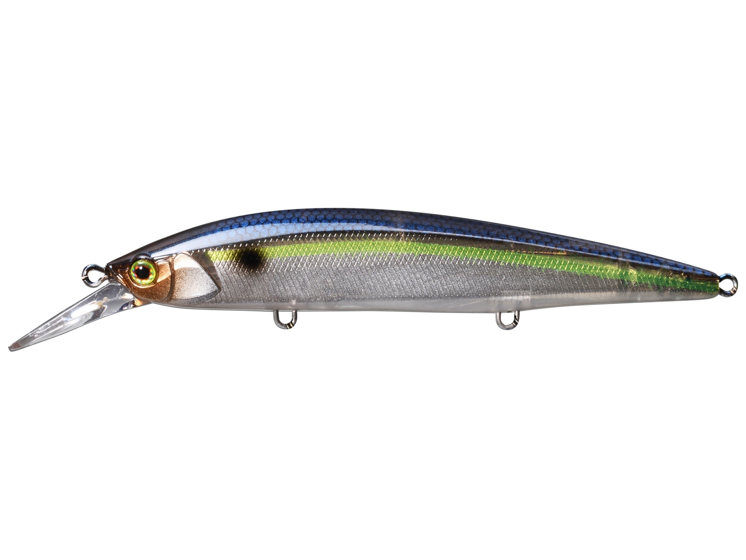 SG Threadfin Shad