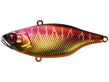 Acheter Leurre vibrant régulier Jackall TN 50 Uroko HL Chart Back