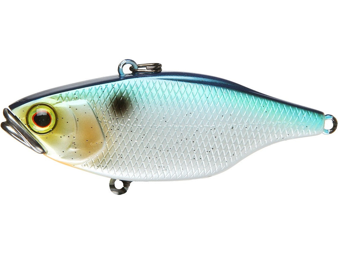 Sparkle SS Shad