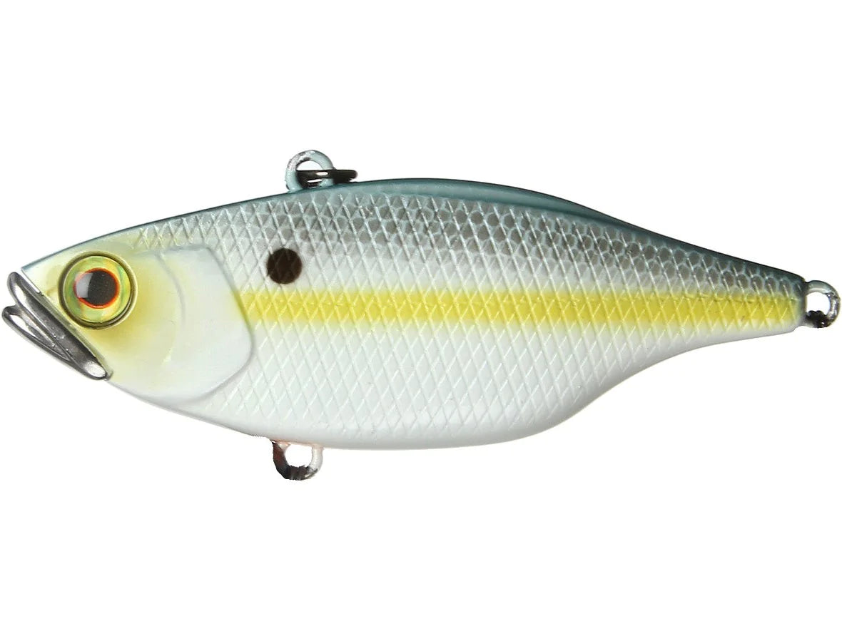 SS Shad