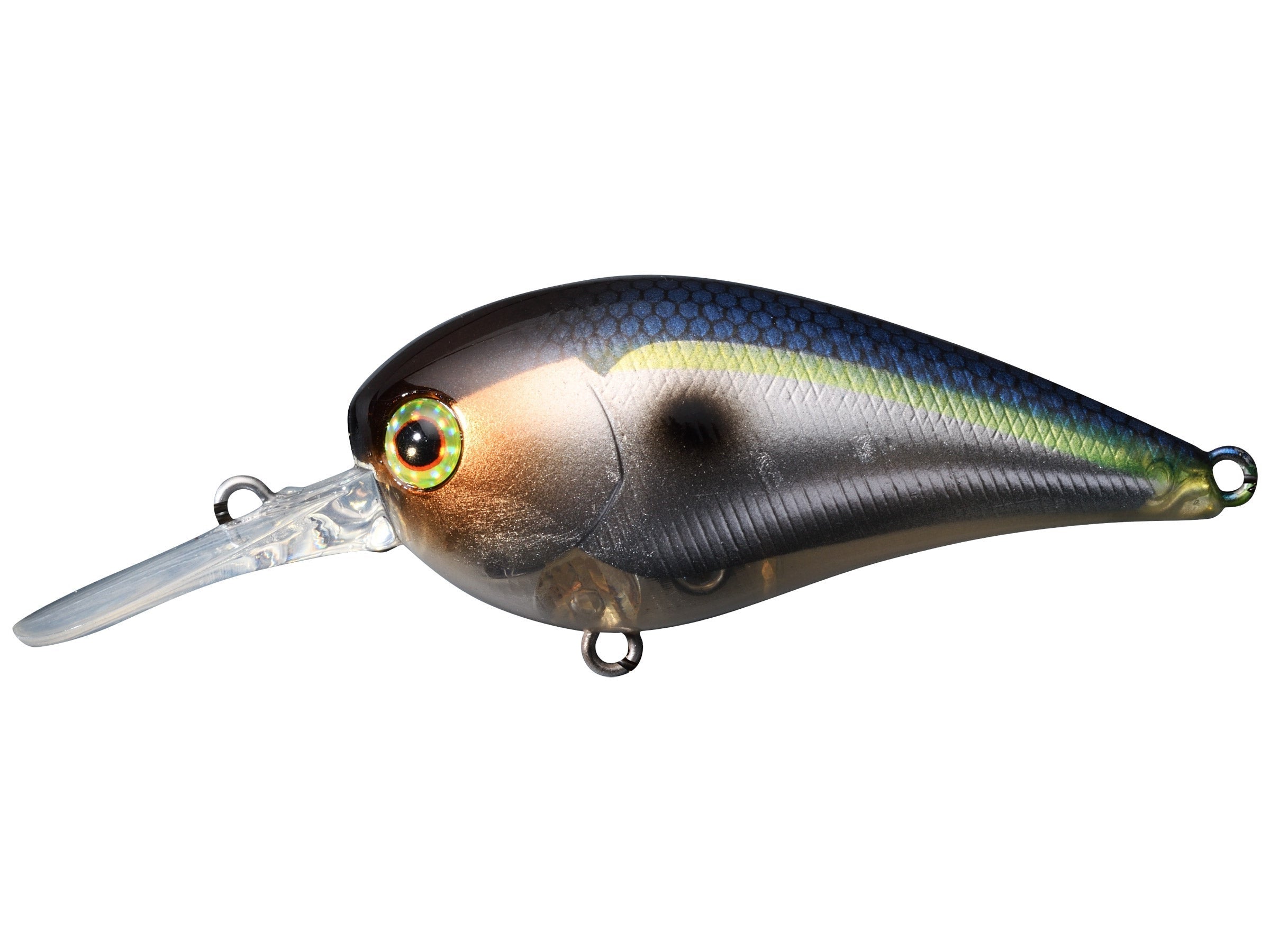 SG Threadfin Shad