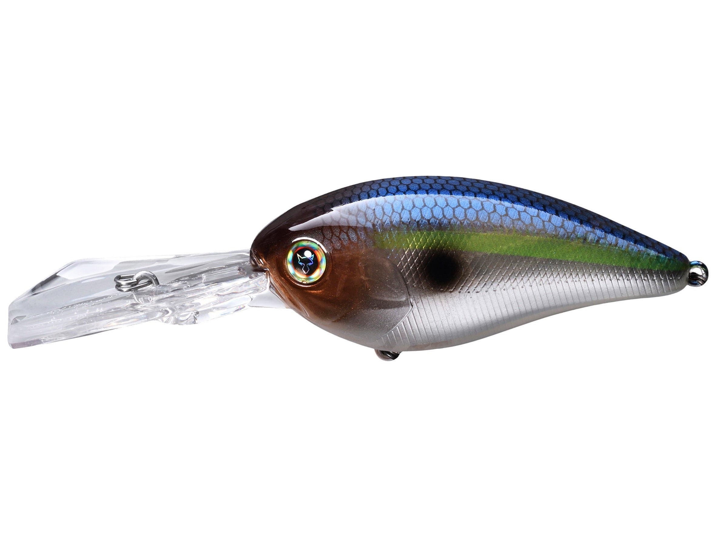 SG Threadfin Shad