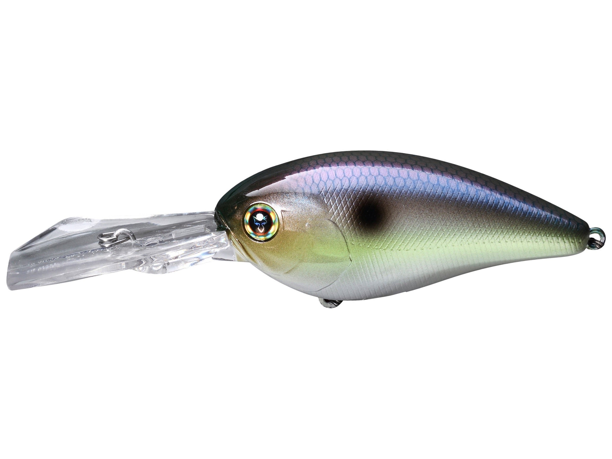 SK Pearl Shad