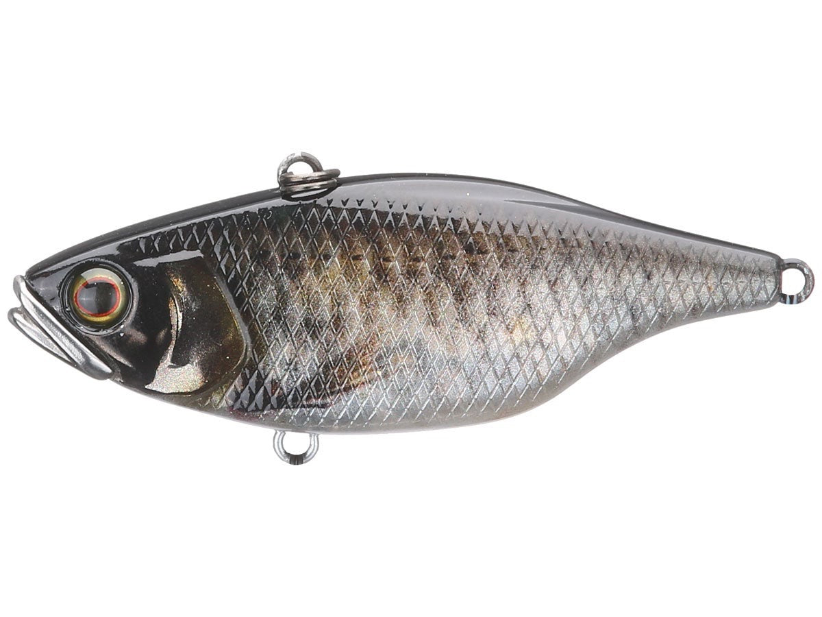 RT Scale Minnow